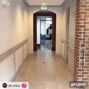 wjN8Xw.gif