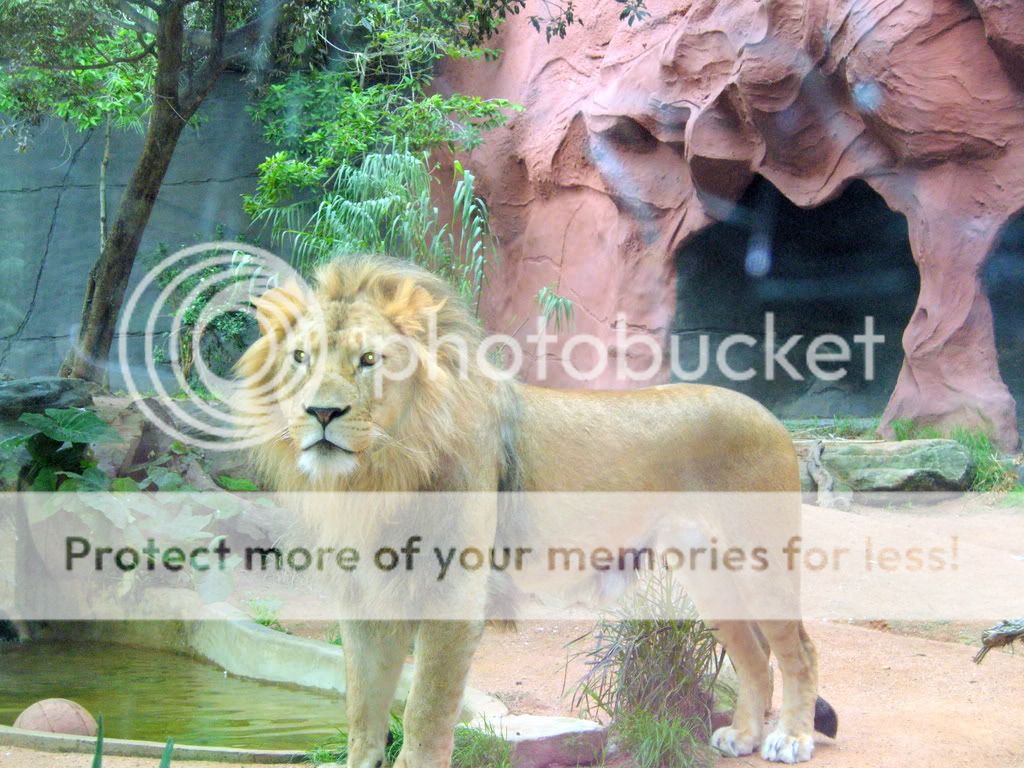 DSCN0722.jpg