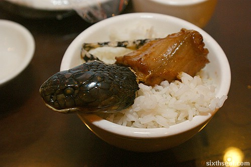 snake%20dish.jpg