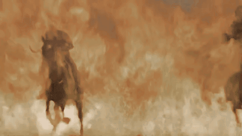 tumblr_ouarwoBlcf1toab2fo7_500.gif