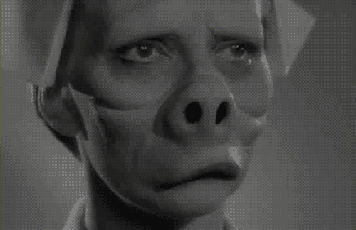 tumblr_lm77svlmn61qb98uxo1_500.gif