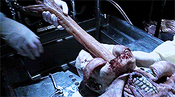 tumblr_n9tdduXdHG1r0b2hgo7_250.gif