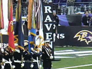 12.gif