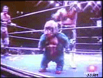 midgetkickedwrestlingjx6.gif