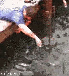 1.gif