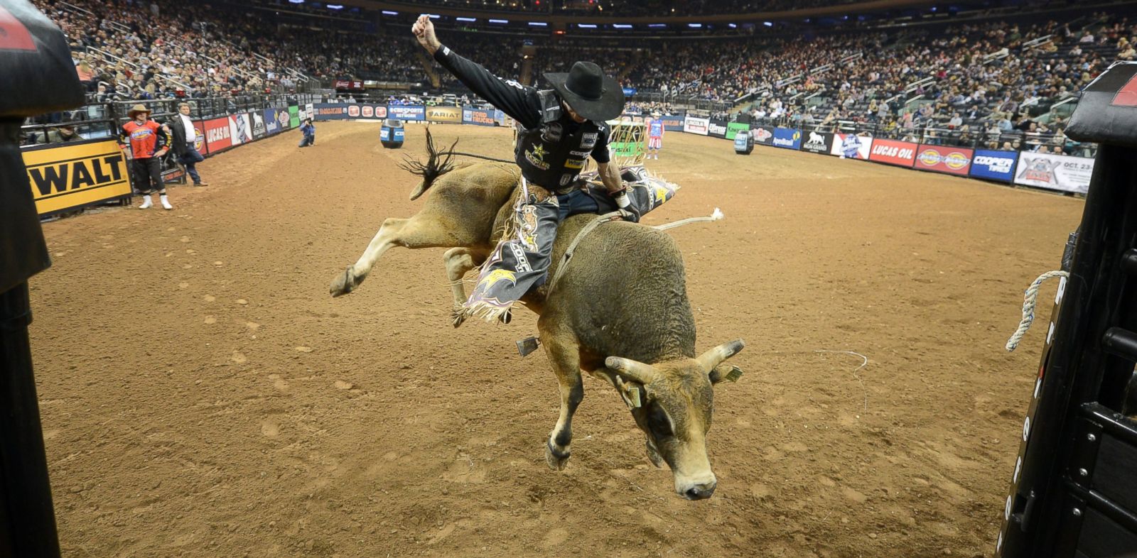 AP_professional_bull_riding_jtm_131014_33x16_1600.jpg