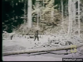 A66Vm6.gif