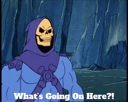skeletor-whats-going-on-here.gif