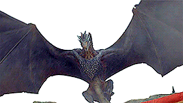 tumblr_ovddnsxacC1rszoo3o1_r1_400.gif