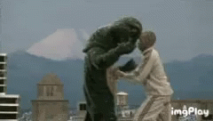 ioneemno-bih.gif