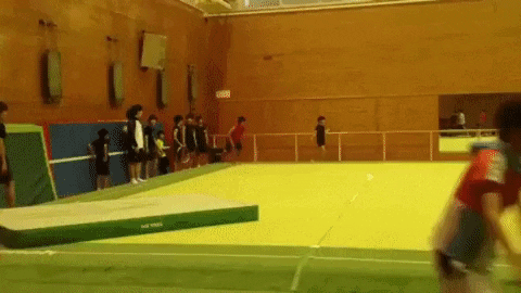 giphy.gif