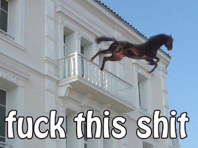 horse+fysa.jpg