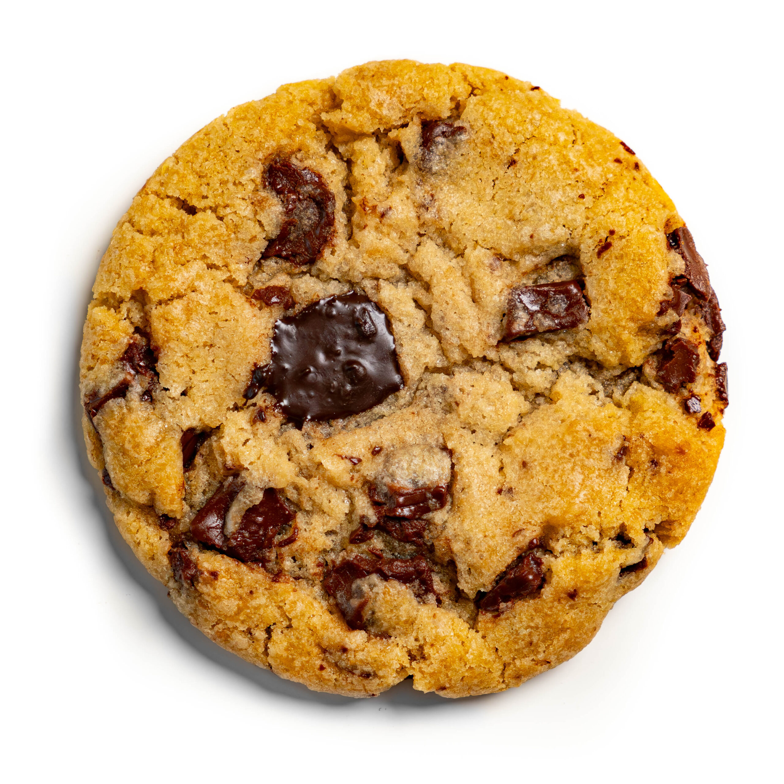 Cookie-New-01-scaled.jpg