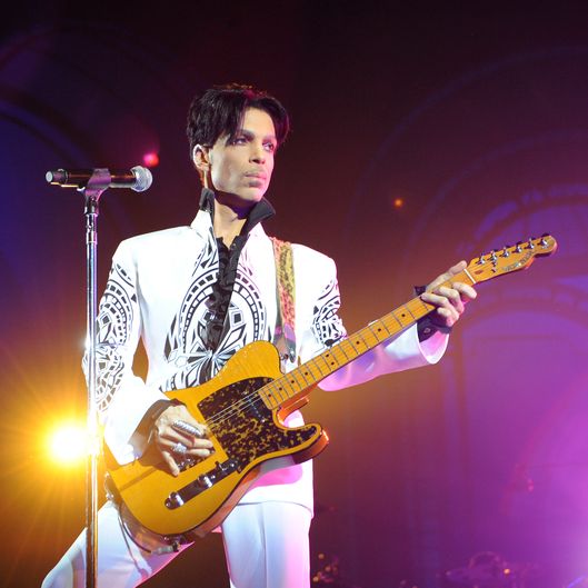 23-prince.w529.h529.jpg