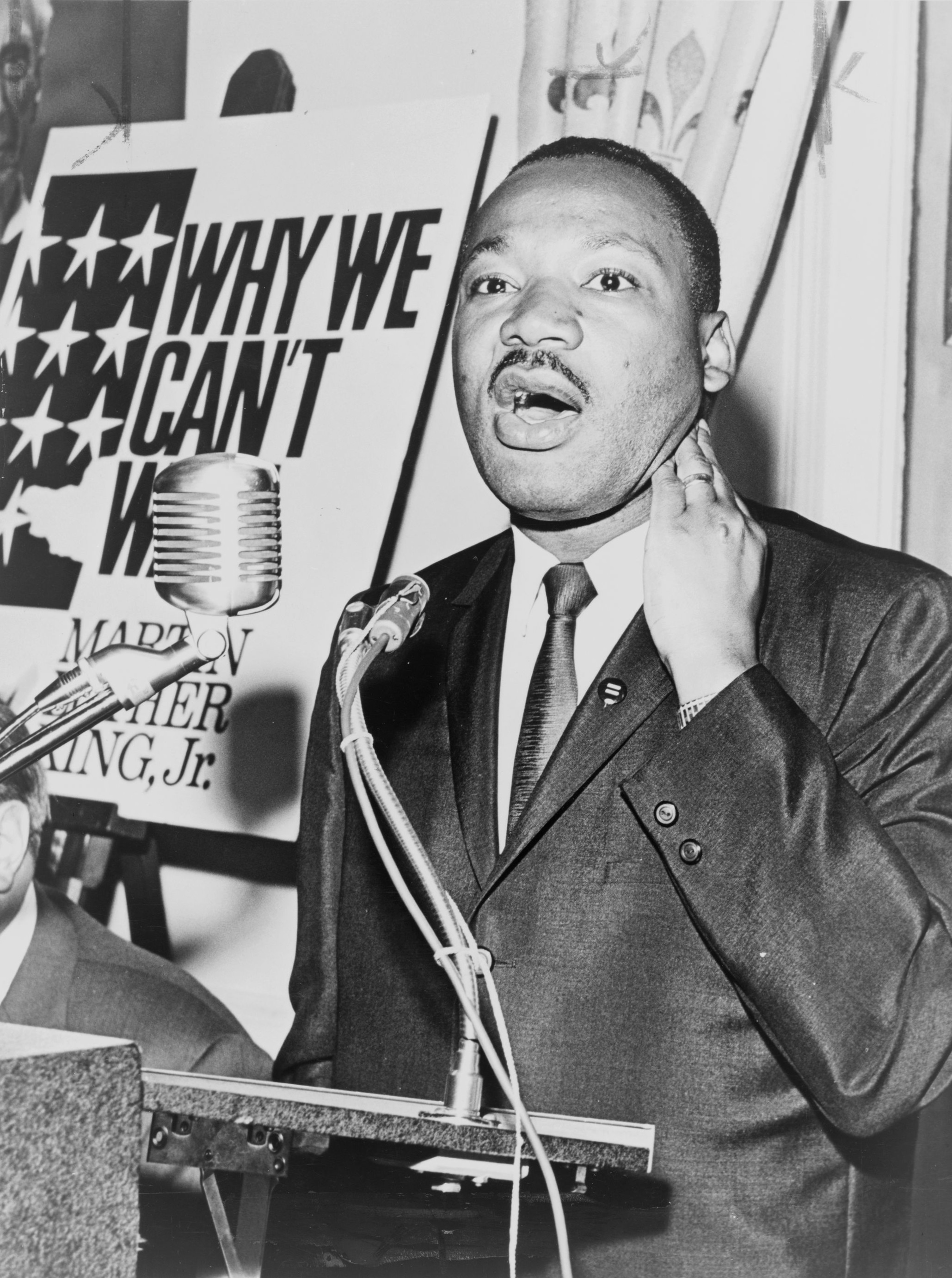 Martin_Luther_King_Jr_NYWTS_4.jpg
