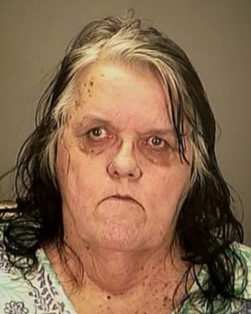 Funny-Mug-Shots-ugly-woman.jpg