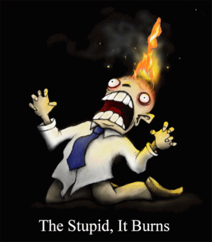 the-stupid-it-burns.gif