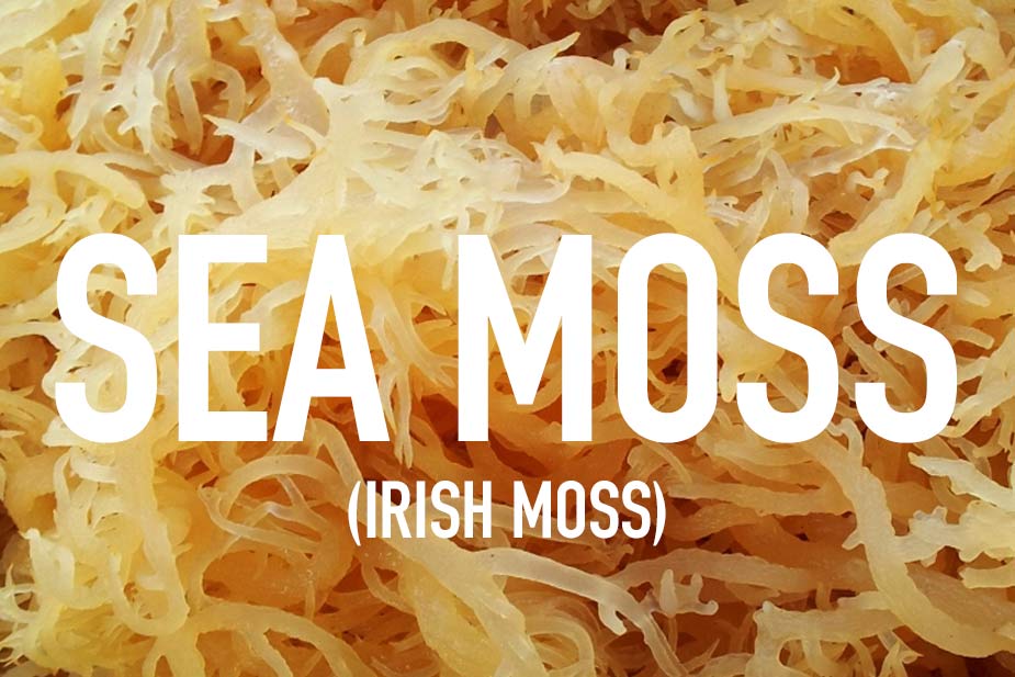 sea-moss_2167a728-fb07-478d-b956-1b04d7e04f7b.jpg