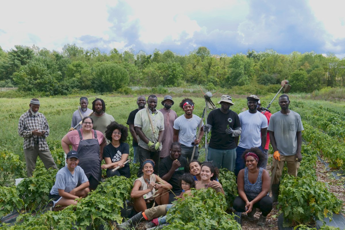 230510-black-farmer-fund-food-justice-sovereignty-urban-farming-community-local-food-6-Big-Dream-Farm-credit-Jared-Davis.jpg