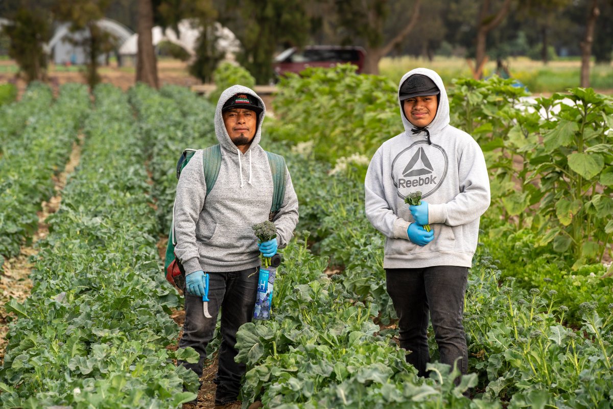 240118-alba-immigrant-farmworkers-farmland-access-land-access-1-top-Father-Son-courtesy-ALBA.jpg