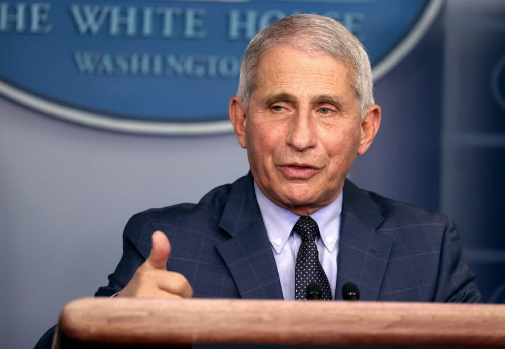 Dr. Anthony Fauci, director of the National Institute of Allergy and Infectious Diseases, speaks during a White House Coronavirus Task Force press briefing at the White House on November 19, 2020. (Tasos Katopodis/Getty Images)