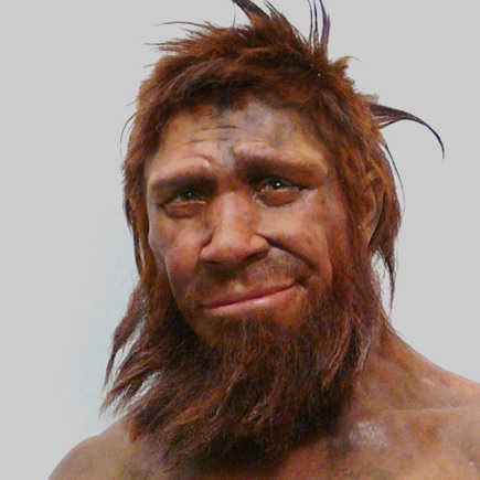 neanderthal-1-w435.jpg
