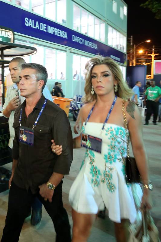 8866455_ci-rio-de-janeiro-rj-15-02-2015desfile-das-escolas-de-samba-do-grupo-especial-mocidade-ro.jpg