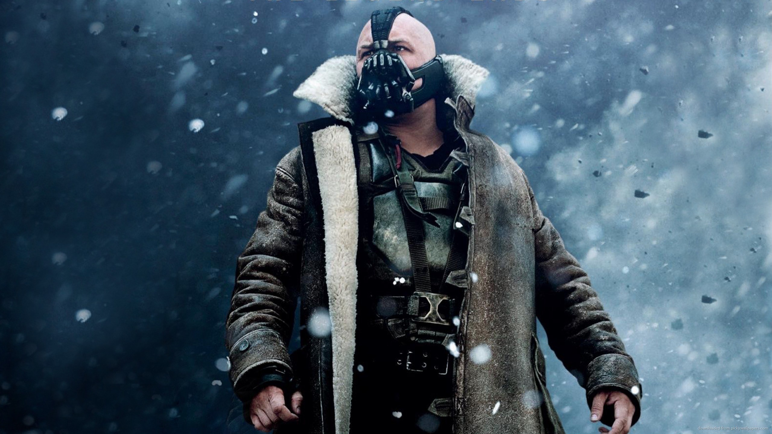 1000386-free-bane-wallpaper-2560x1440.jpg