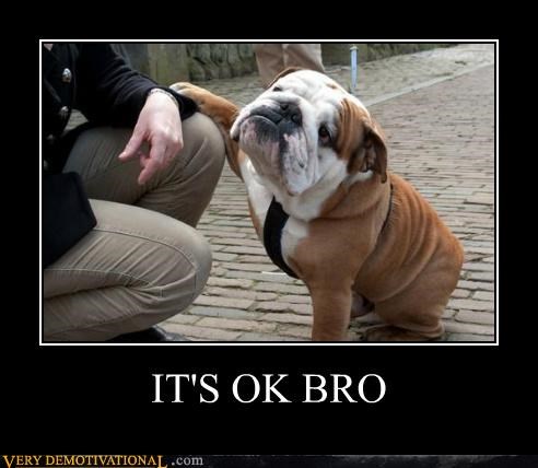 its-ok-bro