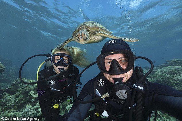 7831386-6529885-The_series_of_selfies_feature_the_prominent_aquatic_reptile_fron-a-17_1545822938640.jpg