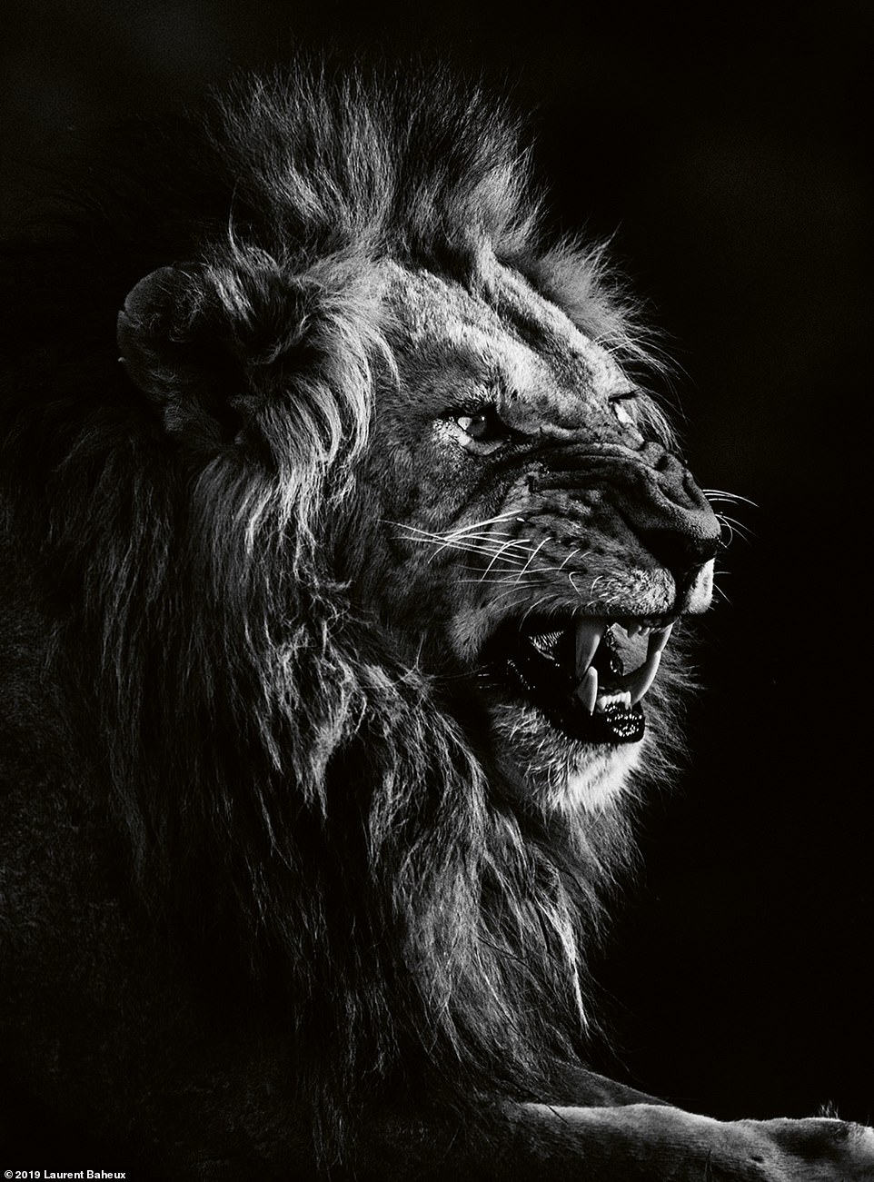18565902-7472331-French_photographer_Laurent_Baheux_spent_nearly_20_years_travell-a-79_1568713520801.jpg
