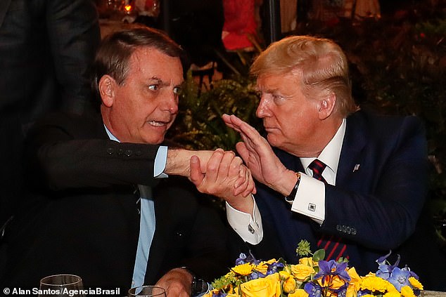 President Donald Trump shaking hands with Brazilian President Jair Bolsonaro during a dinner at Mar-a-Lago on Saturday night; Bolsonaro's condition remains unknown - there are reports that he has tested positive and negative for coronavirus President Donald Trump shaking hands with Brazilian President Jair Bolsonaro during a dinner at Mar-a-Lago on Saturday night; Bolsonaro's condition remains unknown - there are reports that he has tested positive and negative for coronavirus
