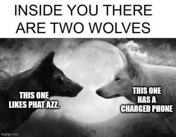 2Wolves.jpg