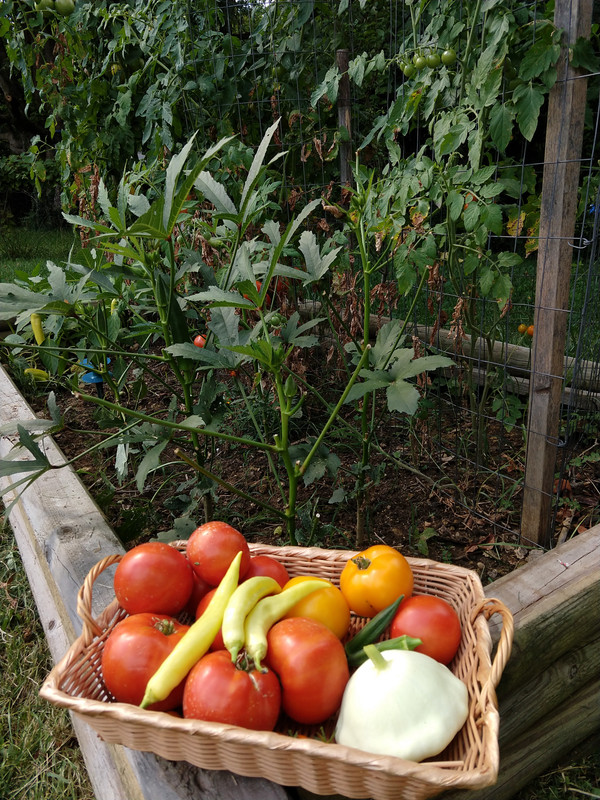 Okra-Peppers-Squash-Maters.jpg