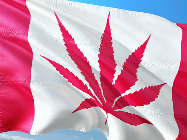 canadian-cannabis.jpg