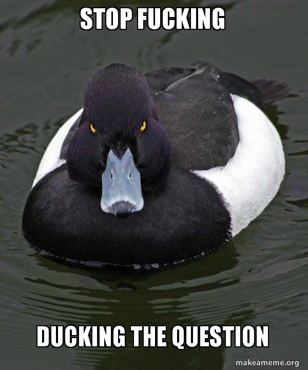 stop-fucking-ducking.jpg