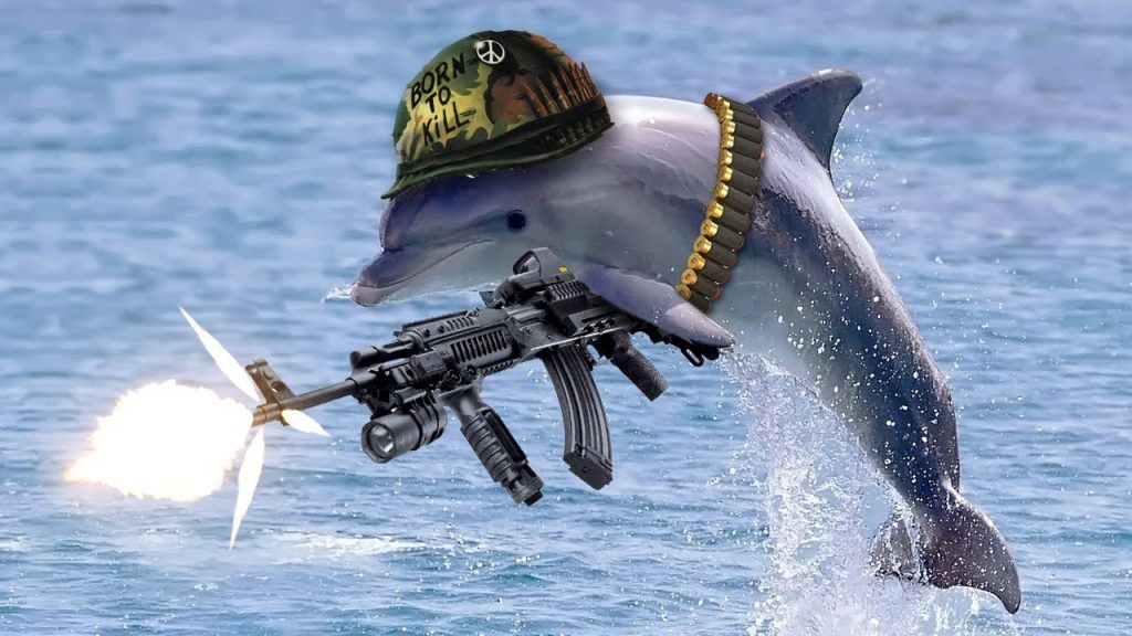 Russian-dolphin-army-1024x576.jpg