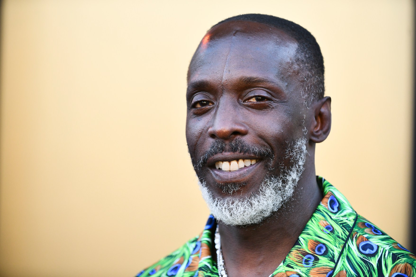 Michael_K_Williams.jpg