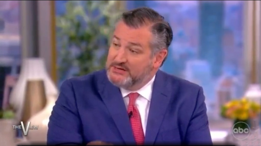 Cruz and The View co-hosts were engaged in a heated discussion on the daytime show before the protesters took over. 