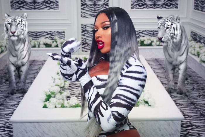 704a7cb763e7fcebdf5f6db84fa548095e-wap-megan-thee-stallion.rhorizontal.w700.jpg