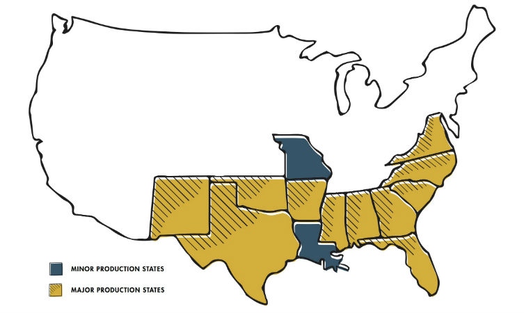 Peanut-Country-Feature.jpg