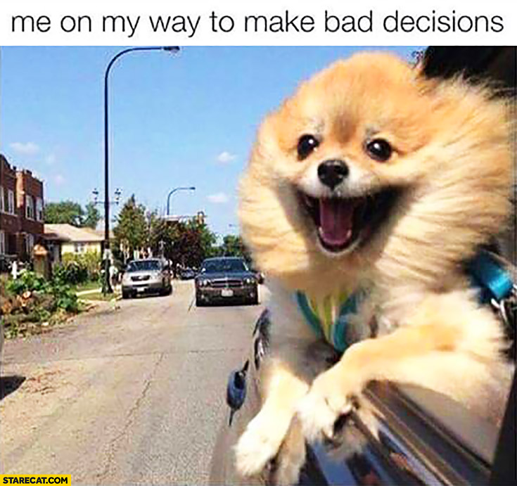 me-on-my-way-to-make-bad-decisions-happy-dog.jpg