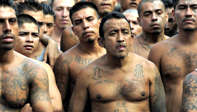 MS-13_840x480.jpg