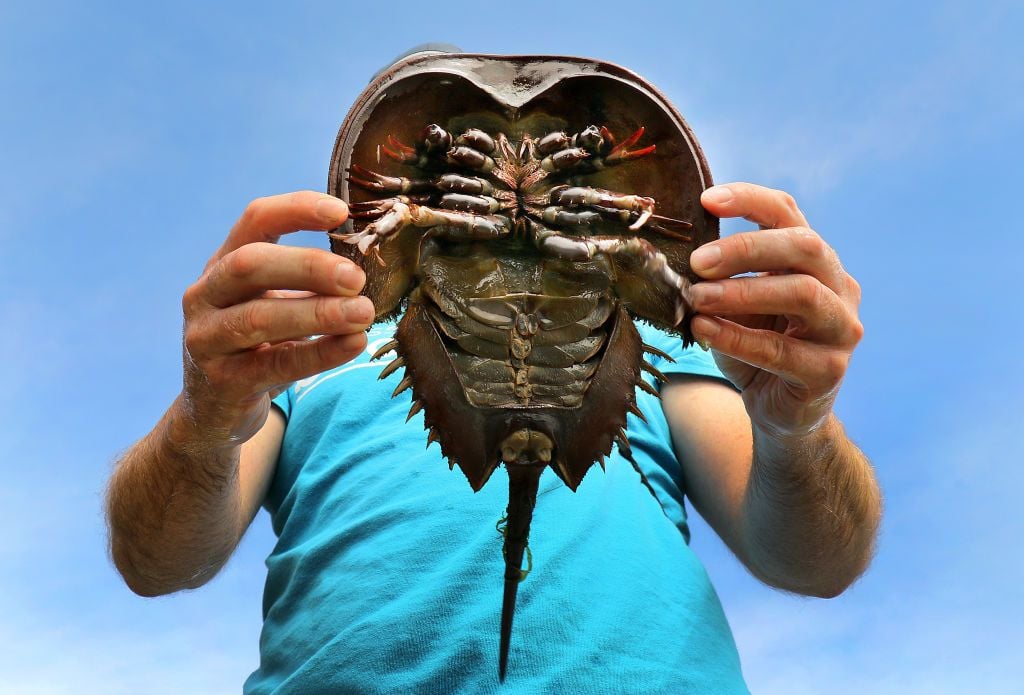 www.smithsonianmag.com