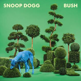 Bush_Album_Cover.jpg