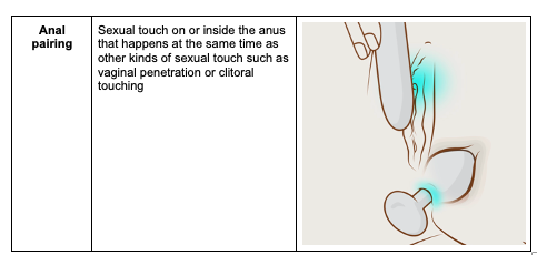 Anal pairing: Sexual touch on or inside the anus that happens at the same time as other kinds of sexual touch such as vaginal penetration or clitoral touching