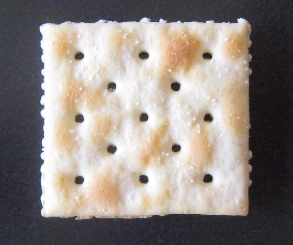 saltine%20black.jpg