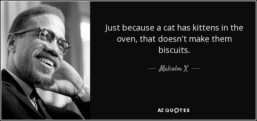 quote-just-because-a-cat-has-kittens-in-the-oven-that-doesn-t-make-them-biscuits-malcolm-x-142-62-74.jpg