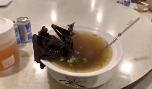 bat-soup-china-600x354.jpg